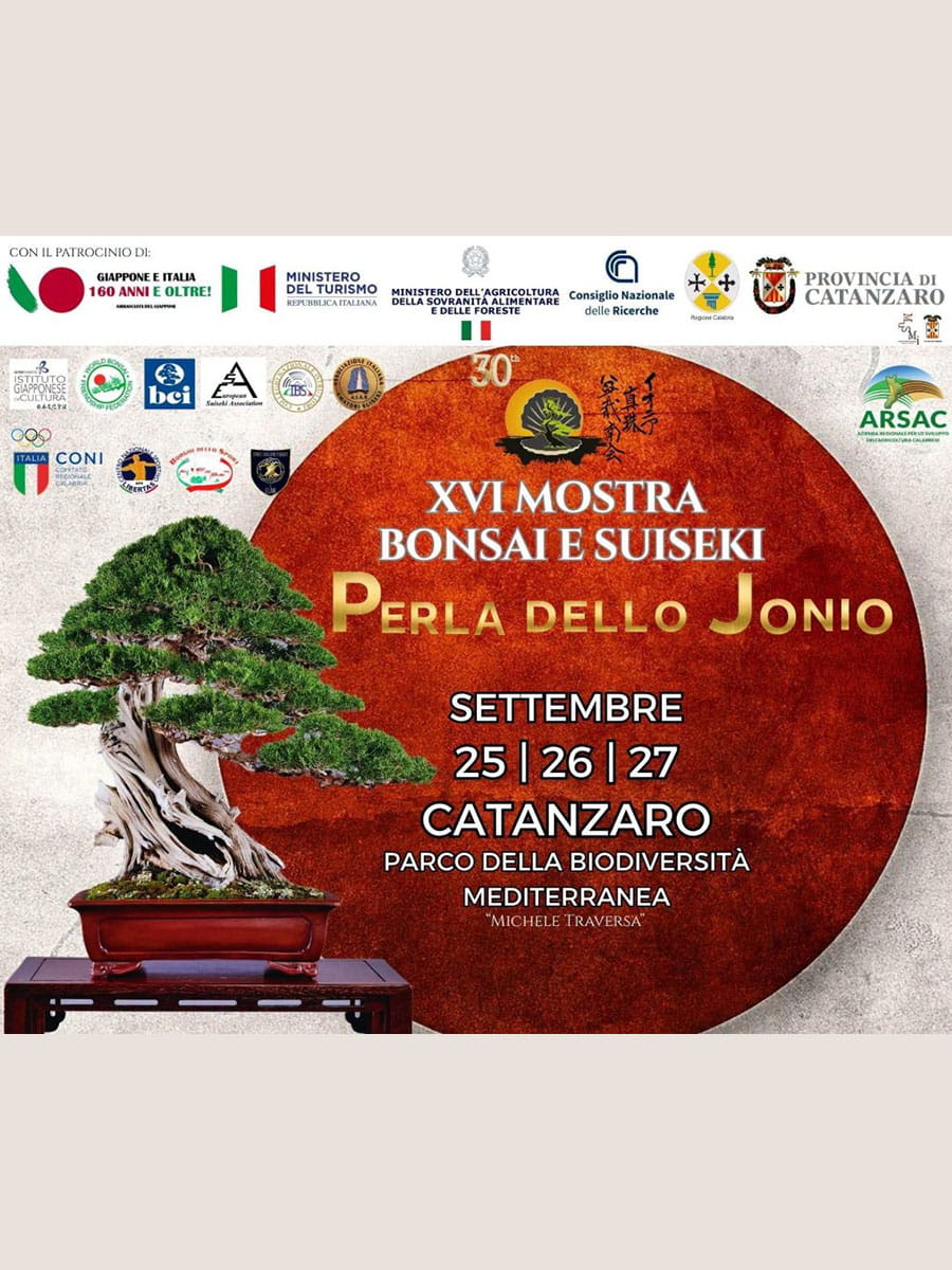 XVI Mostra Bonsai e Suiseki “Perla dello Jonio” – Parco della Biodiversità VIDEO